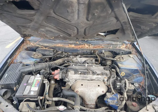 1HGCF86632A150382: 43918156