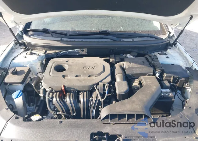 5NPE24AF0KH810843: 43918373