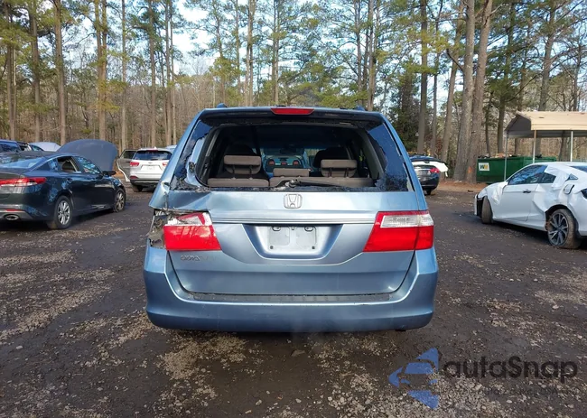 5FNRL38486B094226: 43917446