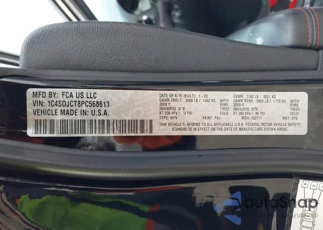 1C4SDJCT8PC568613: 43917776