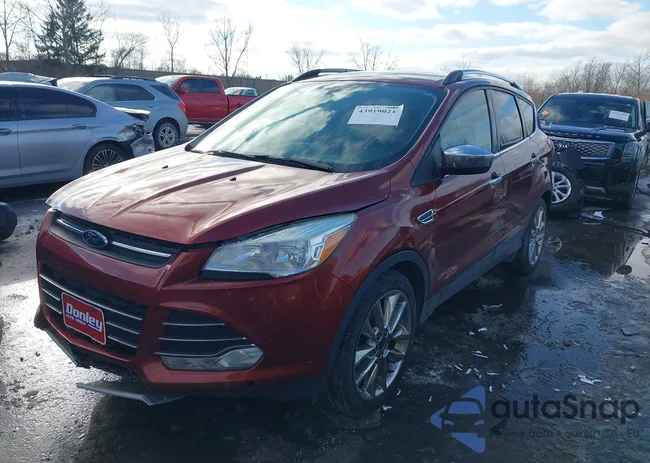 1FMCU0GX6GUA43552: 43919021