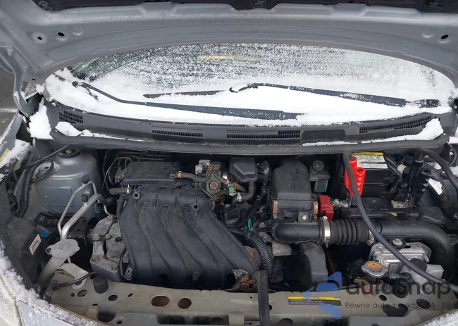 3N1CE2CP1EL386119: 43919299