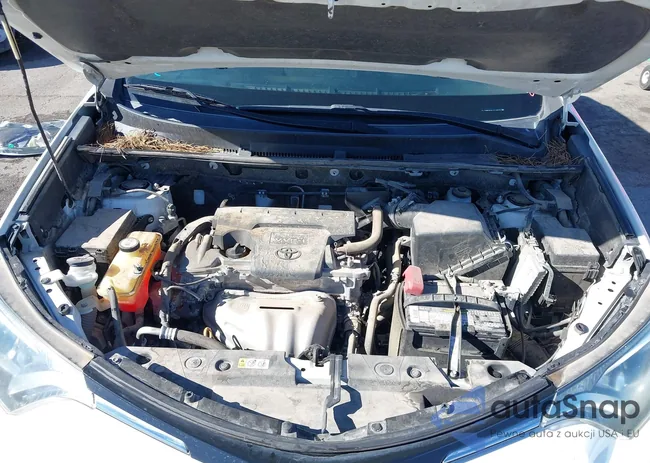 JTMWFREV0JD128928: 43919314