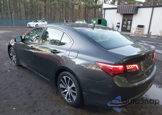 19UUB1F59FA010339: 43918526