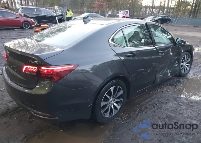 19UUB1F59FA010339: 43918526