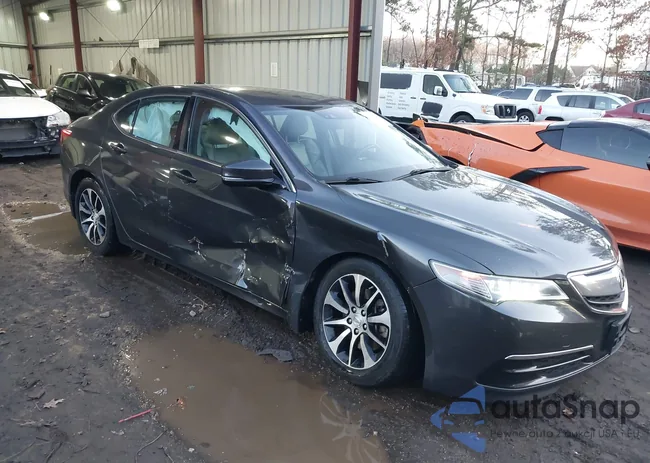 19UUB1F59FA010339: 43918526