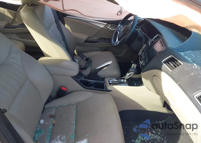 19XFB2F90EE242534: 43919913