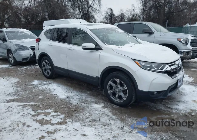 2HKRW2H51KH666923: 43919949