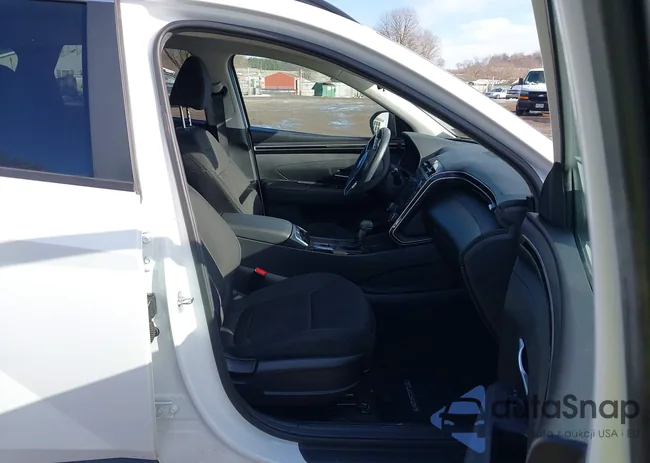 5NMJBCAE8PH237808: 43919982