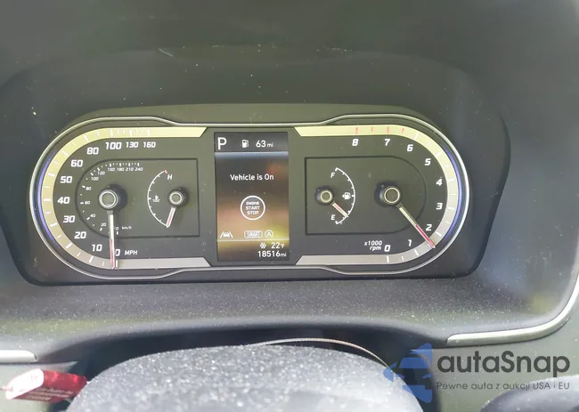 5NMJBCAE8PH237808: 43919982