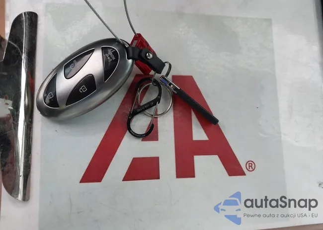 KMHL54JJ2SA109730: 43920279