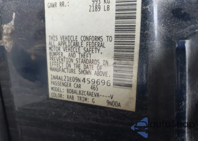 1N4AL21E09N459696: 43920353