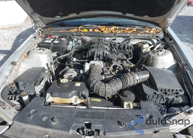 1ZVHT80N695110911: 43919583