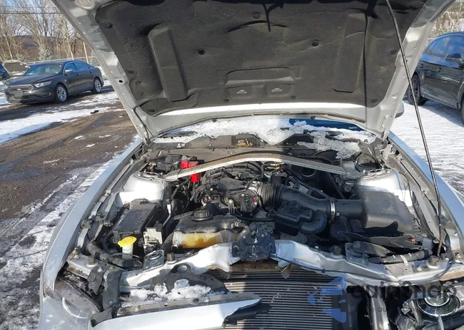 1ZVBP8EM8D5265320: 43919682