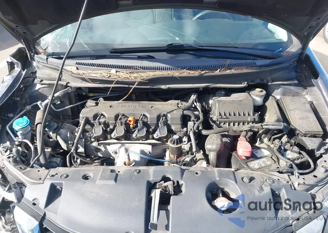 19XFB2F82FE052338: 43919735