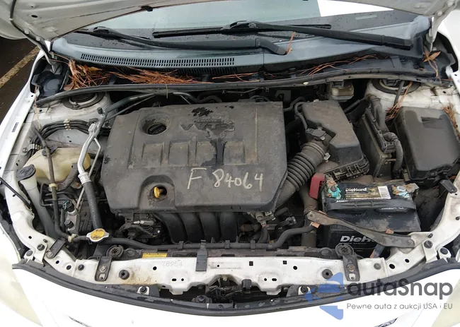 2T1BU4EE1BC593708: 43921053