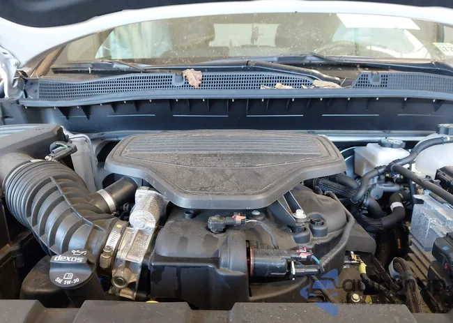 3GNKBKRS2RS169145: 43921117