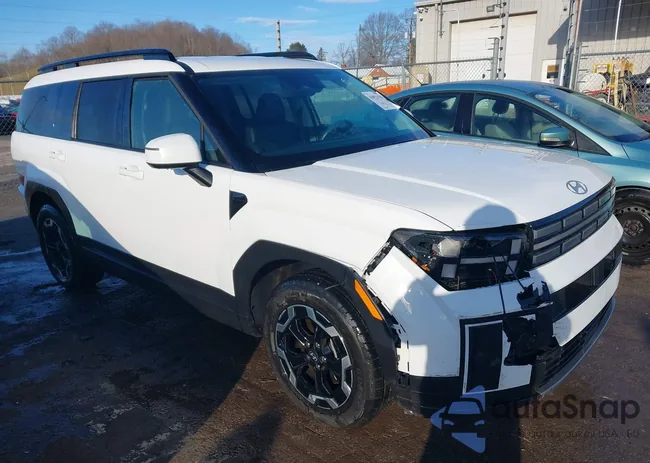 5NMP24GL2RH001650: 43921133