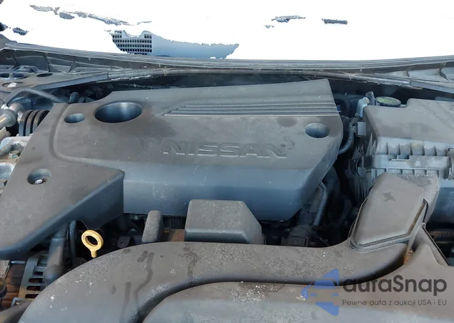 1N4AL3AP2JC238866: 43921209