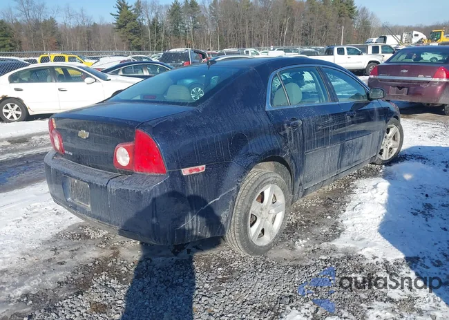 1G1ZB5E10BF212261: 43920436