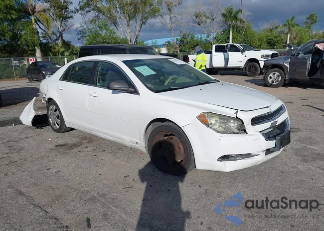 1G1ZG57B19F228034: 43921848