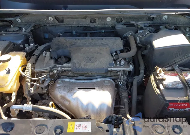 JTMNFREV6JD113605: 43922308