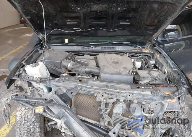 3TMDZ5BN6KM055582: 43921591