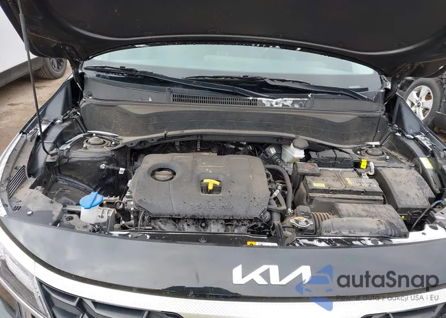 KNDEPCAAXR7630557: 43923010