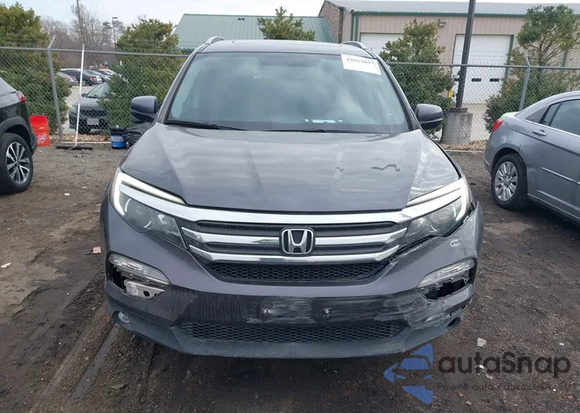 5FNYF6H53JB028317: 43923897