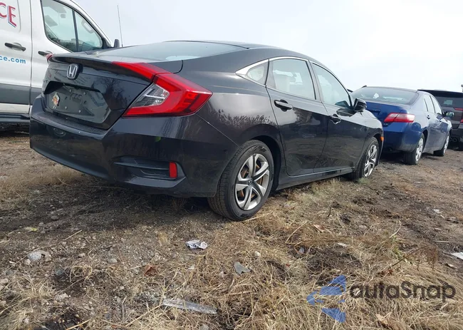 2HGFC2F56HH567659: 43923918