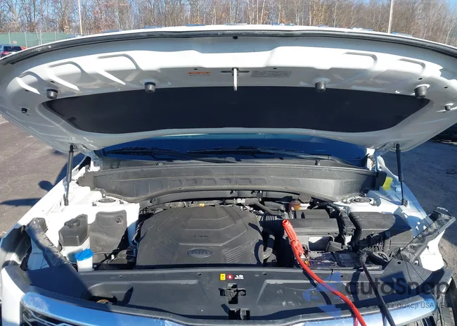 5XYP3DHC3LG008149: 43924160