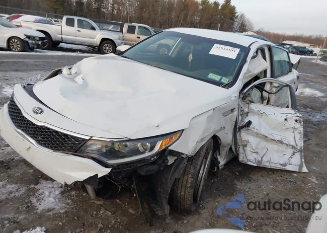 KNAGT4L36G5073497: 43924304