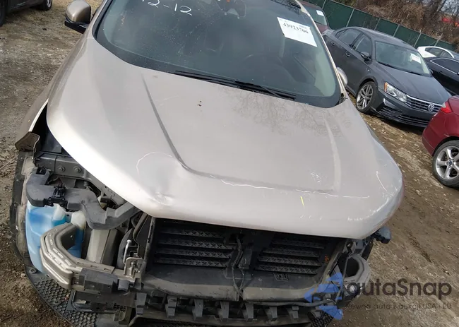 2FMPK3K99LBA56202: 43923706