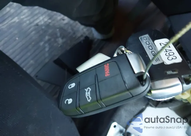 2C3CDXAT9PH519481: 43924913