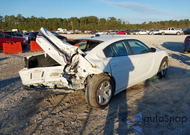 2C3CDXAT9PH519481: 43924913