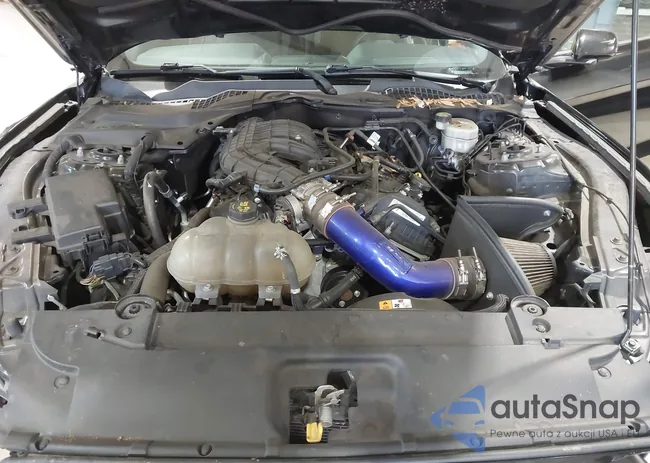 1FA6P8AM1H5265665: 43924383