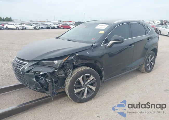 JTJYARBZ8K2133061: 43924718