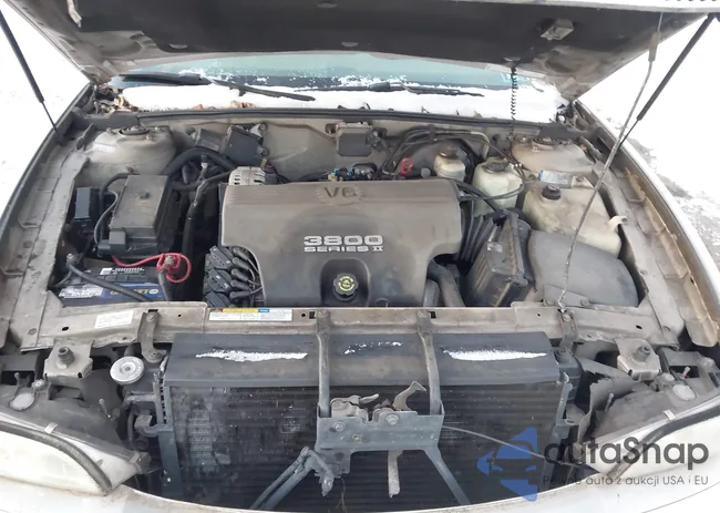 1G4CW52K4V4655460: 43924742