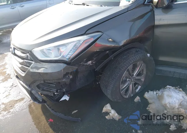 5XYZUDLB5EG136383: 43924747