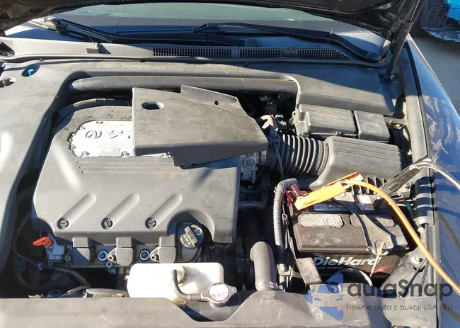 19UUA66296A009651: 43926194