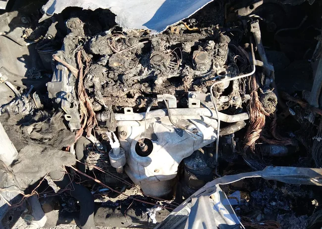 1N4BL2AP2CC149672: 43926274