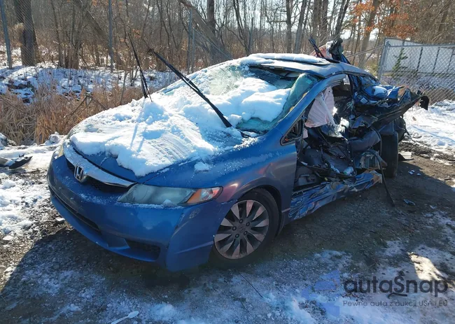 2HGFA16819H500124: 43925421