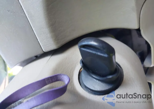 1FMYU93195KB51233: 43925453