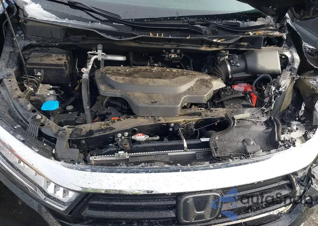 5FNRL6H8XPB009411: 43925655