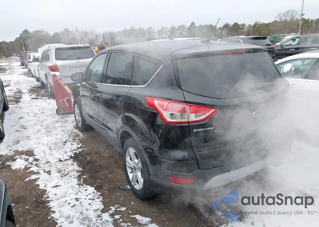 1FMCU9GX5FUB15375: 43927186