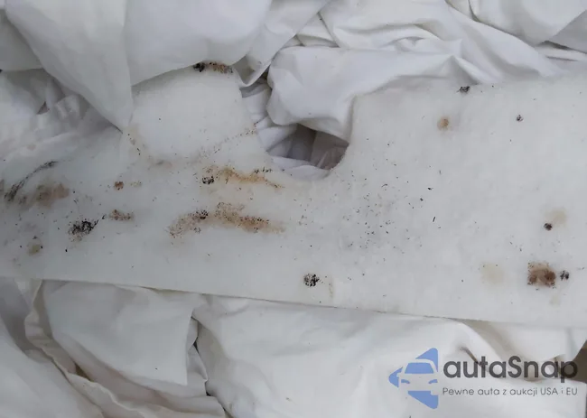 KNAGM4A73D5309165: 43926518