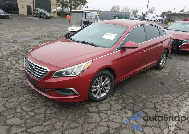 5NPE24AF8GH405515: 43926771