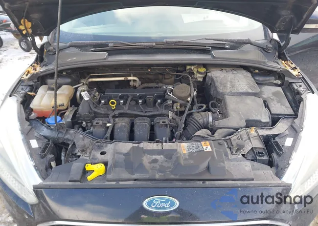 1FADP3K24FL317726: 43927664