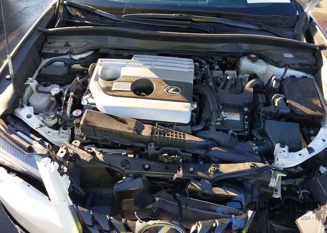 JTHP9JBH3L2034258: 43927749