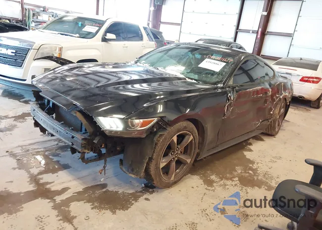 1FA6P8AM6G5325891: 43928867